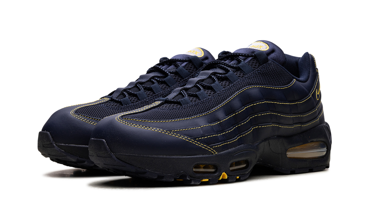 Air Max 95 "Michigan" IB7936 400