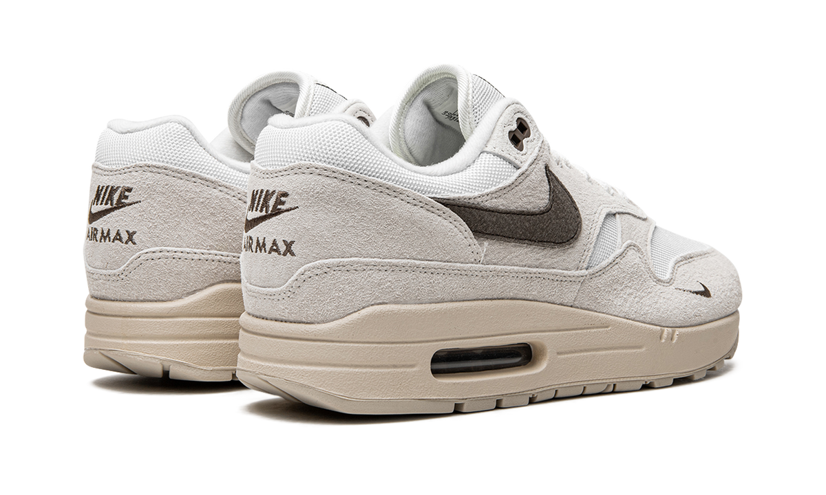 Air Max 1 "Sail Ironstone" DZ4494 100