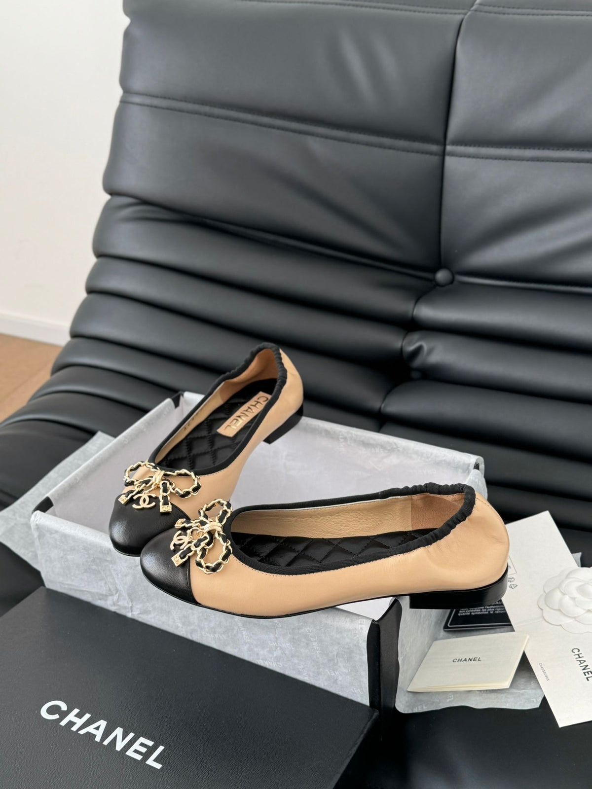 CC Ballet Flats In Beige Lambskin 143530