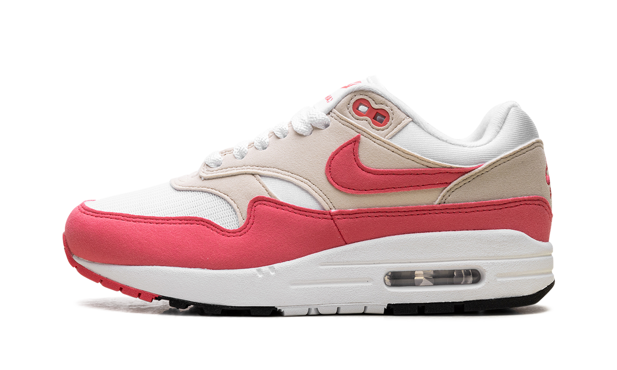 Air Max 1 WMNS "Aster Pink" DZ2628 110