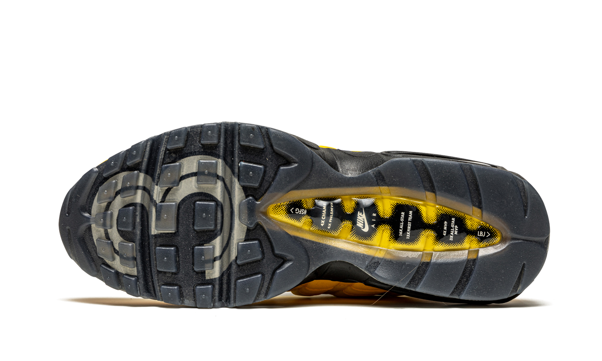 Air Max 95 NRG "Lakers - Lebron" CZ3624 001